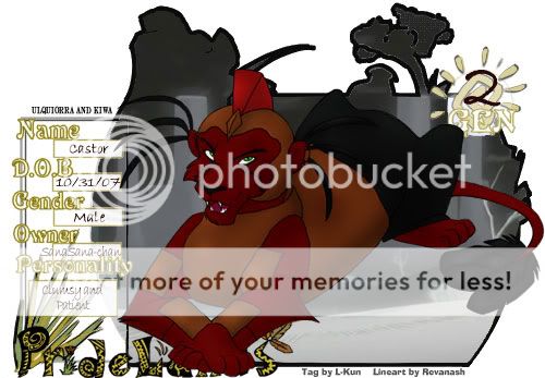 User Image
